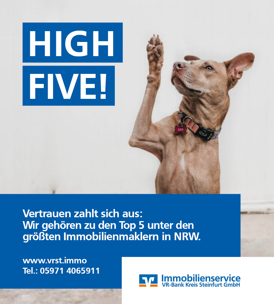 co_191126_VR-Immo_Zeitungsanzeige_High_Five_Hund_90x100mm_RZ